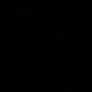 Meet your Posher, Ashanti